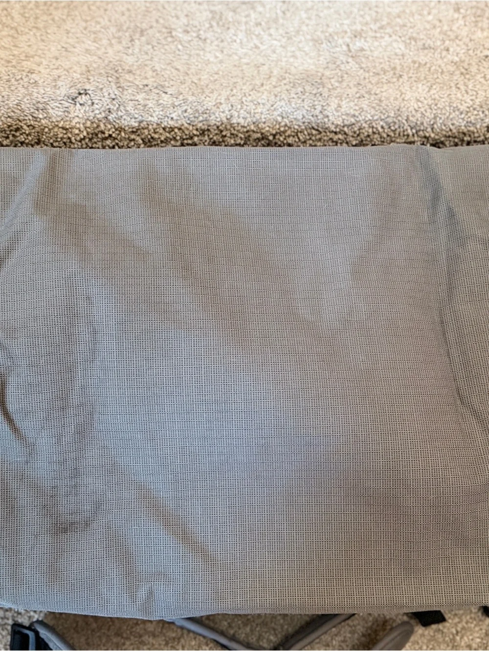 Patagonia durable black